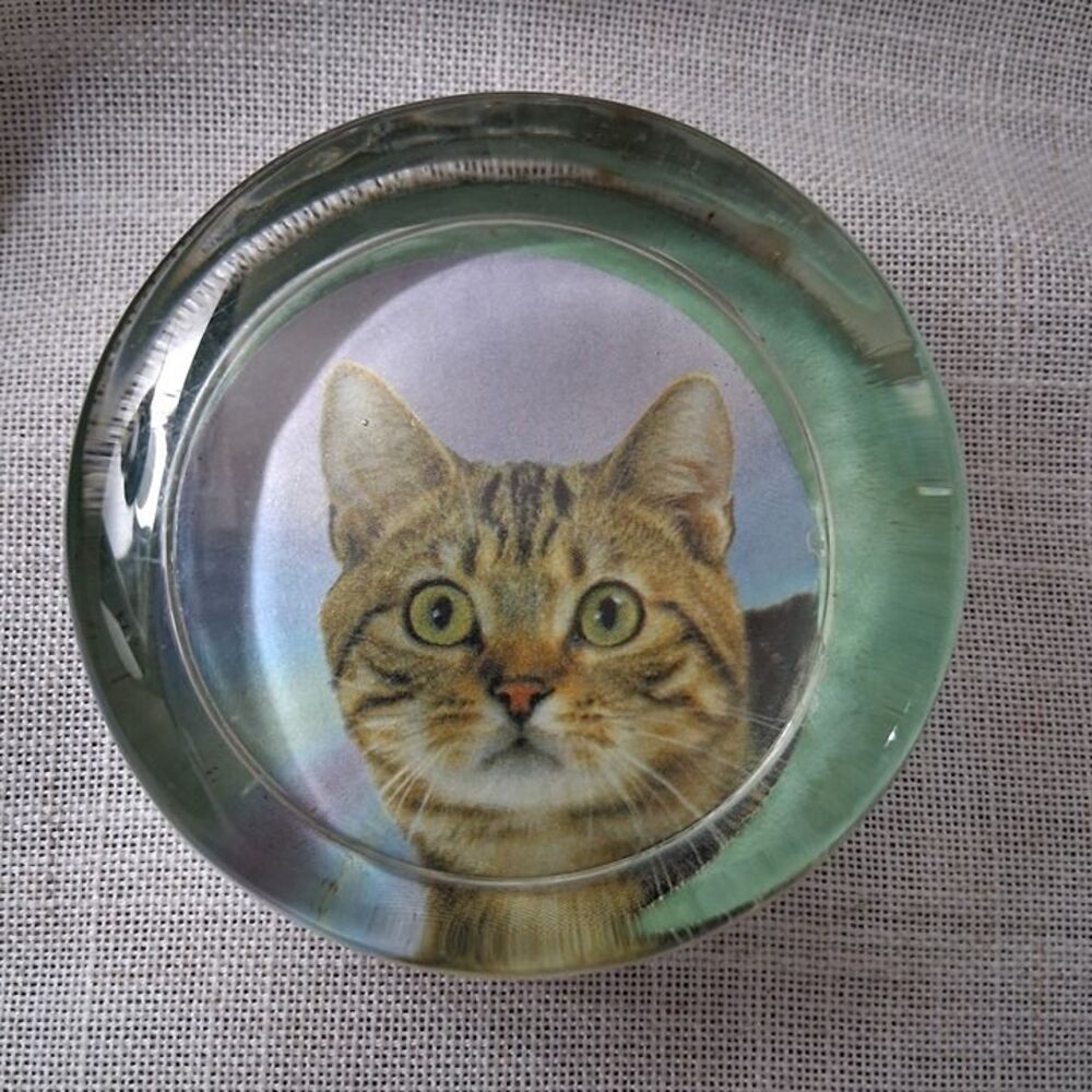 VINTAGE Glass Cat decoupage paperweight Round Heavy Tabby Cat picturesque